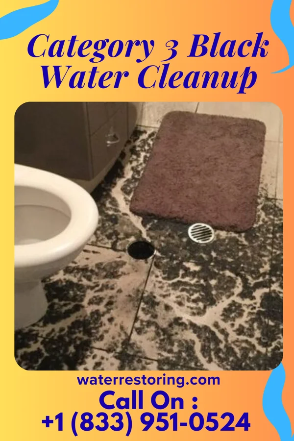 Category 3 Black Water Cleanup in Bell, OK