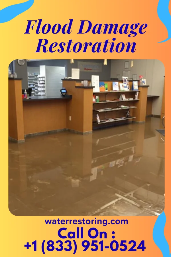 Flood Damage Restoration in Bell, OK